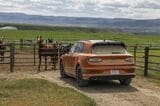 ベントレー ベンテイガ・スピード（写真：Bentley Motors）