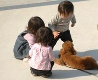 ６４．７％--妻の職場に利用しやすい育児休業制度があるうち、第２子が生まれた割合《気になる数字》