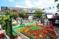 30代人口急増！流山市､"異端"の街づくり マーケティングがあれば､地方都市は蘇る！