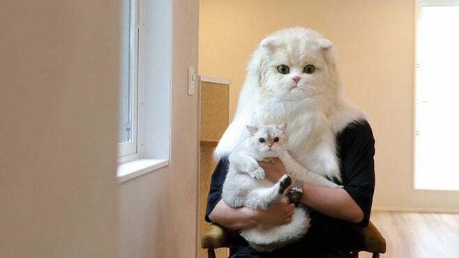 ｢猫を飼わない人は入居お断り｣不動産屋の"挑戦"