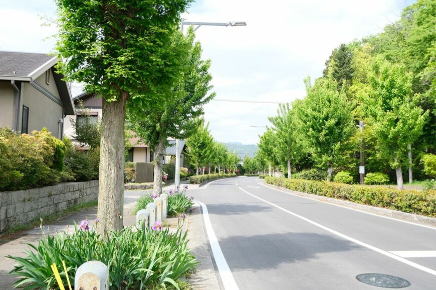 コモアループの風景