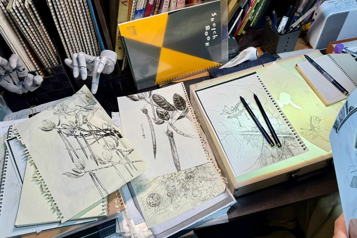 植物画の落書き。「絵を描くことを1日でもサボると線がふにゃふにゃになる」とのこと（写真：著者撮影）※一部写真を加工しています
