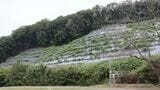 草木が生い茂った山の斜面のメガソーラー、埼玉県内で10月25日に撮影（撮影：河野博子）