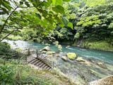 天降川の青い清流と木々の輝く緑に癒される（筆者撮影）