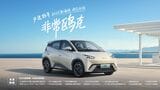 BYDは中国市場で｢価格破壊｣を率先して仕掛けてきた。写真は同社の低価格コンパクトEV｢海鴎｣（BYDのウェブサイトより）