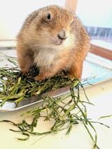 （写真提供：まる子さん）