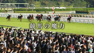 競馬の魔力 経営者も引き付ける