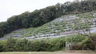 ｢草ぼうぼうの太陽光パネル｣各地に出現の危うさ