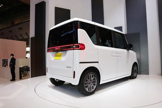 ラッコのリアビュー