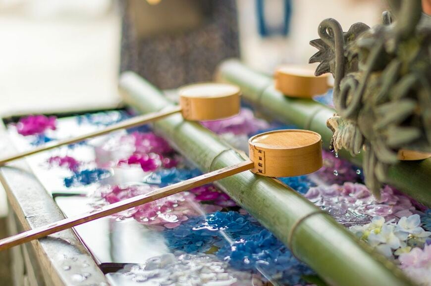 楊谷寺（柳谷観音）の紫陽花の花手水（写真：Tara-san / PIXTA）