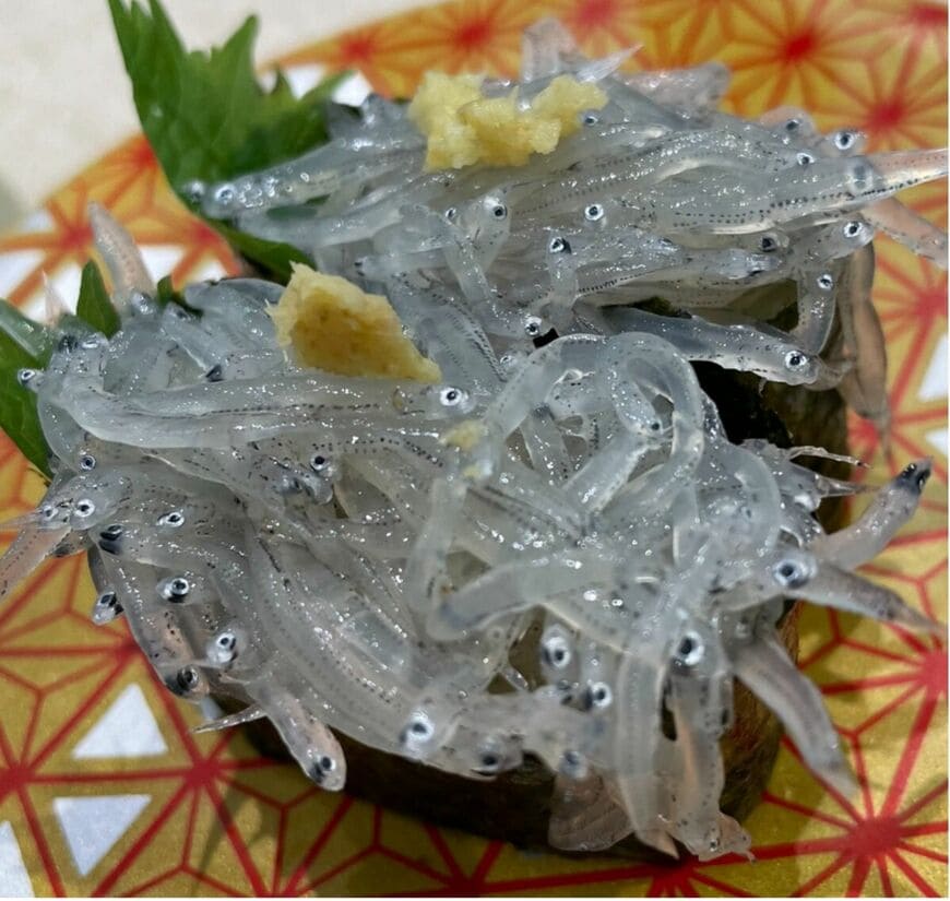 シラス（カタクチイワシの幼魚）（写真：筆者提供）