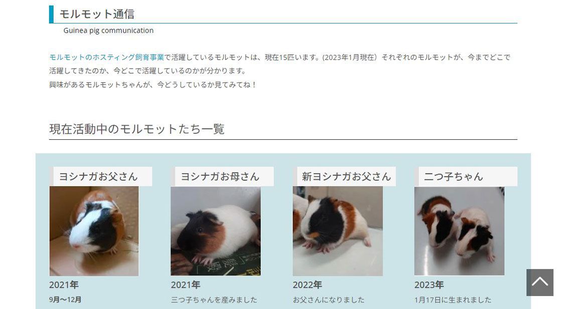 県獣医師会のHP内には「モルモット通信」のページがあり、教員や子どもたちからは「モルモットの返却後もよくチェックしている」との声が（資料：愛知県獣医師会HPより）