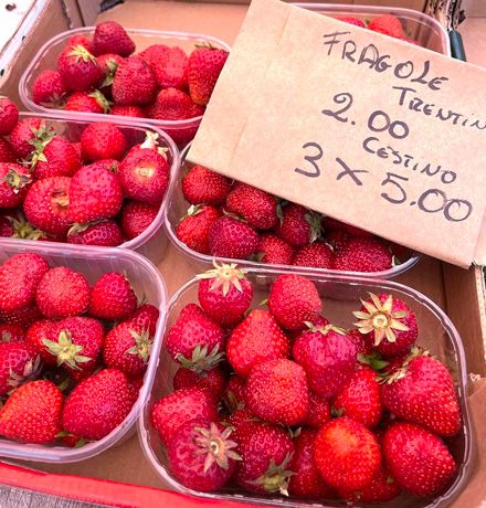 イタリアで今、市場に並んでいるイチゴ。形もサイズもバラバラだが、土と太陽の栄養をしっかり吸い込んだ力強い味がする（2023年6月 イタリア・トリノ 筆者撮影）