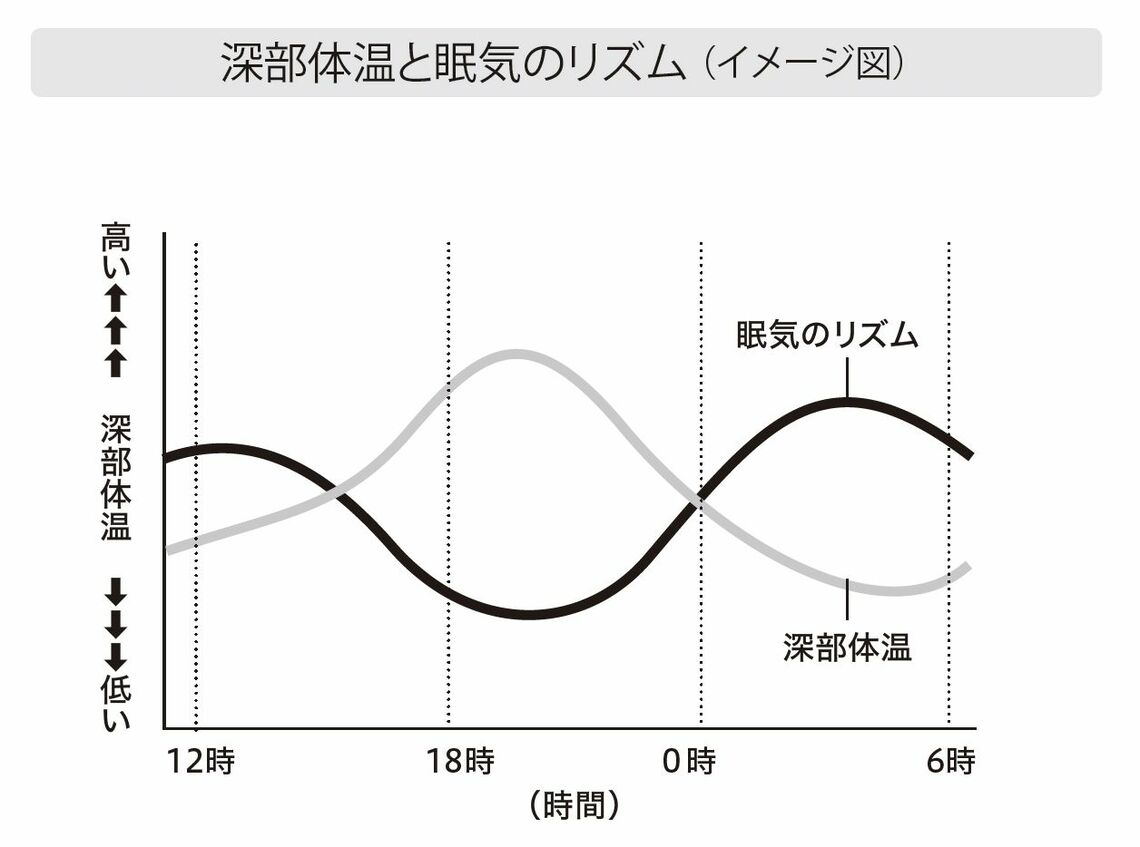 深部体温と眠気のリズム（イメージ図）