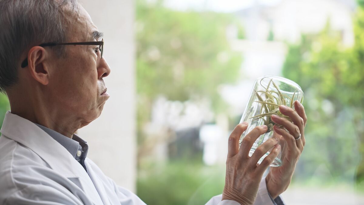 ｢軽度認知障害｣になって気づいた"観察の効能" | リーダーシップ・教養・資格・スキル | 東洋経済オンライン