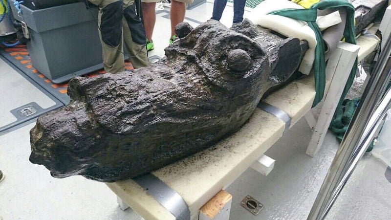 15世紀の沈没船から｢海の怪獣｣船首像 専門家｢想像以上に奇抜な見た目