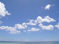 会社を"快適に"休むにはコツがある！ ｢休ませてあげたい｣と思ってもらうには