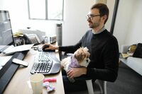 カリフォルニアで犬同伴OK企業が増えた理由 生産性を上げストレスを和らげる効果