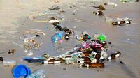 ｢プラスチックごみ｣対策意識が低い日本の現状 荒川で1年に回収するペットボトルは4万本