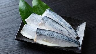 サバ