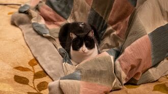 自分だけ温める｢局所暖房で節約｣の誤解と裏ワザ