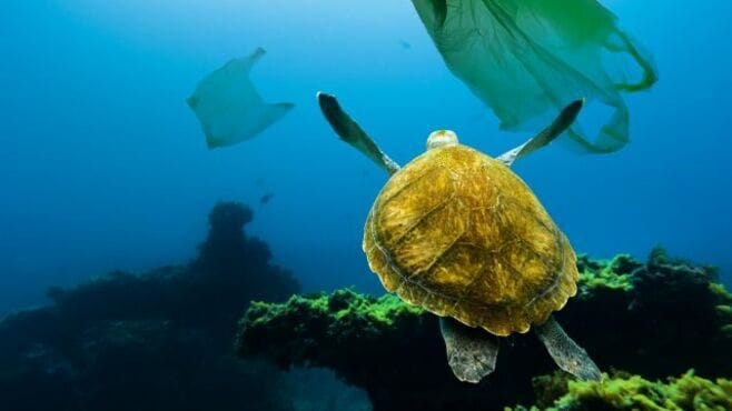 加速する脱プラスチック