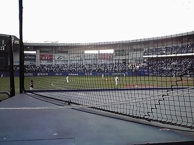 これが最前列の景観