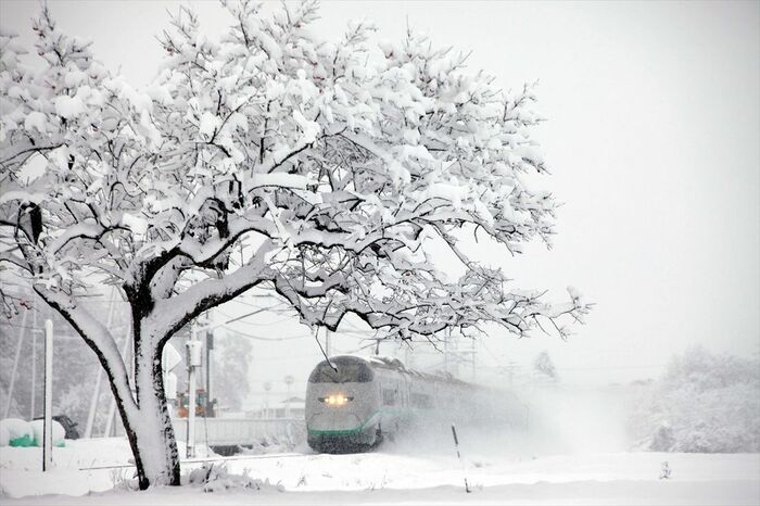 吹雪の山形平野を走る「つばさ」