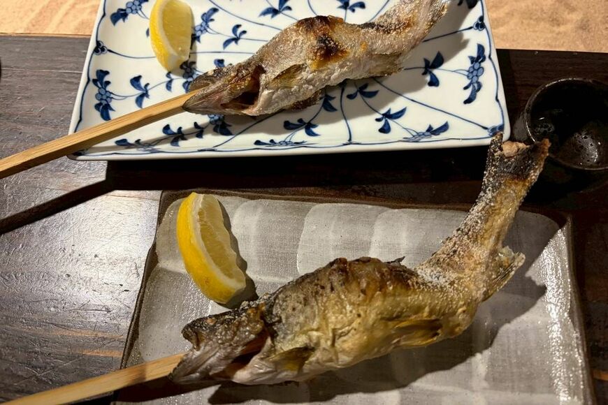 ヤマメとイワナ。見た目はそっくり（写真：筆者提供）