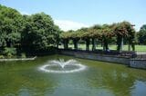 都立武蔵国分寺公園
