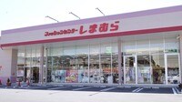 しまむらがネット通販にまだ参入しないワケ EC隆盛の時代にあえて実店舗運営で勝負