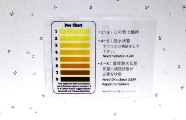 熱中症予防でも帝京ラグビー部が最強なワケ 健康 東洋経済オンライン 社会をよくする経済ニュース