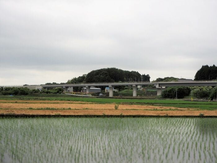 田園地帯を通る高架橋