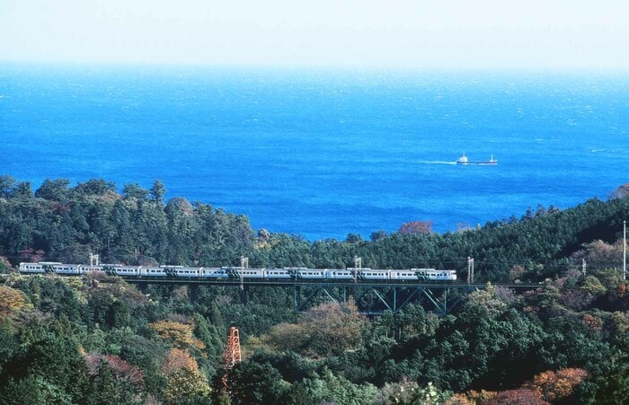 大海原をバックに伊豆急線内を走る185系