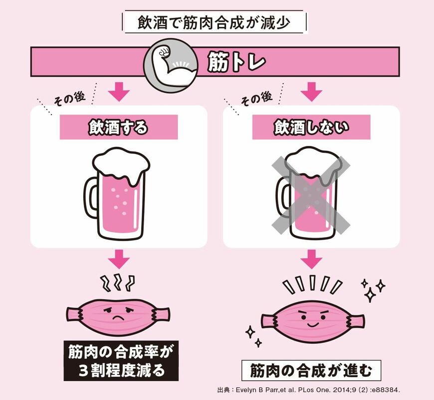 飲酒で筋肉合成が減少（出所：『肝臓から脂肪を落とす お酒と甘いものを一生楽しめる飲み方、食べ方』)