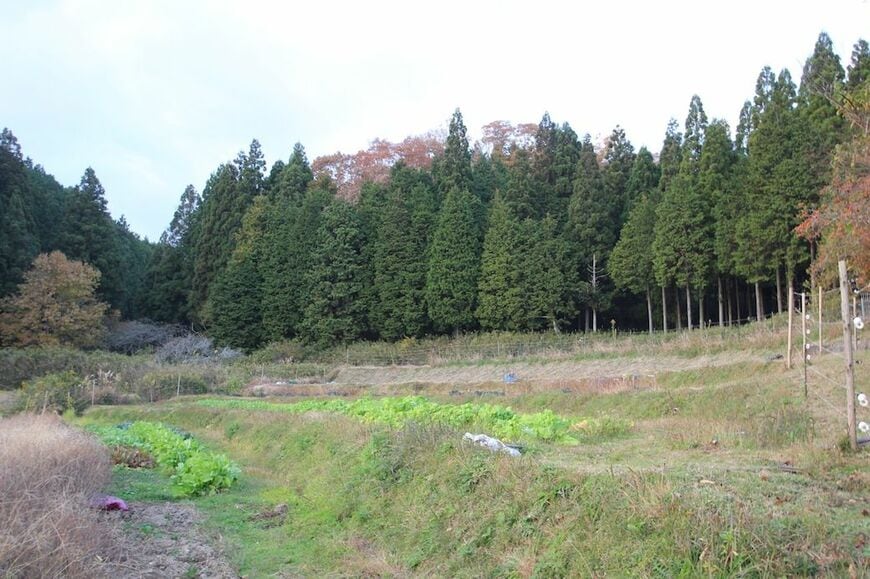 （写真：筆者撮影）