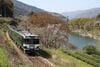 吉野川に沿って走る緑帯キハ185系の特急「剣山」