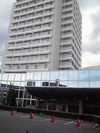 虎ファン御用達、ノボテル甲子園
