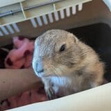 （写真提供：まる子さん）