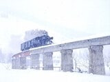 豪雪の叶津川橋梁を行く蒸機牽引の貨物列車＝1974年（撮影：南正時）