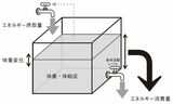 出所：厚生労働省『日本人の食事摂取基準（2020年版）』