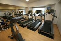 ダイエット失敗は、"シロクマ理論"のせい？ ９割の人が失敗する原因と、成功へのアプローチ