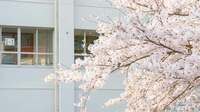 1年の始まり｢4月の学級経営｣で大事にしたいこと