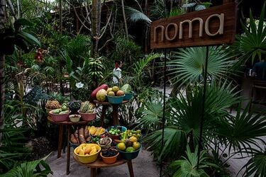 世界一のレストラン｢ノーマ｣が抱える矛盾 1食8万円のメキシコ