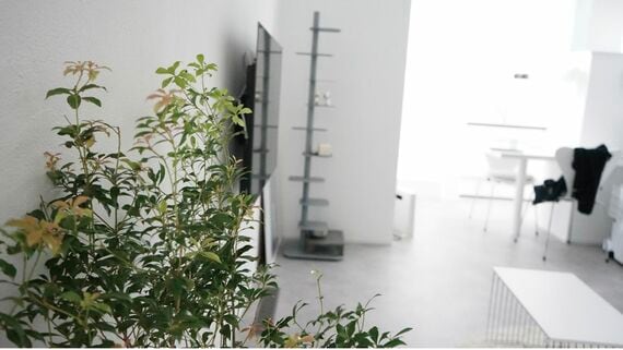 部屋の様子