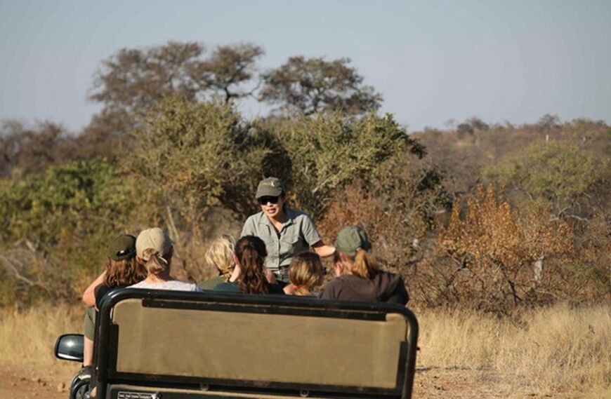 『YUKA on SAFARI』