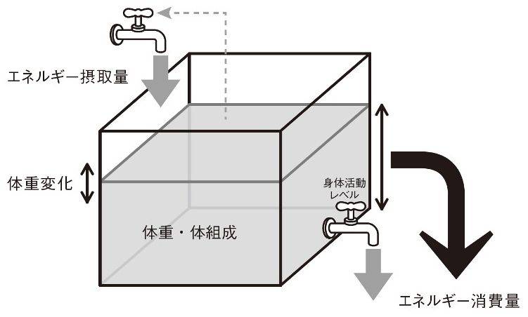 出所：厚生労働省『日本人の食事摂取基準（2020年版）』
