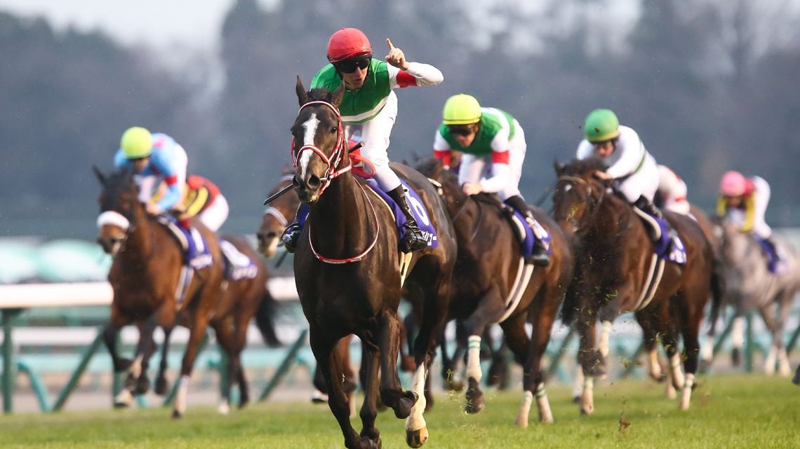 なぜ日本人は 有馬記念 を賭けてしまうのか 新競馬好きエコノミストの市場深読み劇場 東洋経済オンライン 社会をよくする経済ニュース