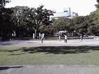 隣接する横浜公園