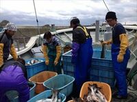 ヤフー社員が、“海の男”になったワケ 商品、というより、“漁師”をプロデュース？